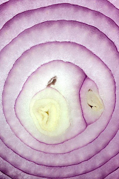 istock Red onion slices as background and texture 618356648