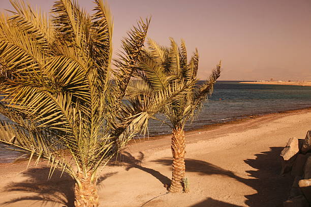 the coast with a Beach in the city of Aqaba on the red sea in Jordan in the middle east.