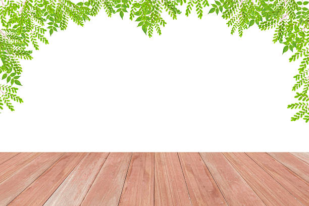 istock Wood floor with Green leaves frame on white 618359764