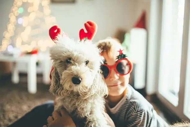 Photo of Boy and a dog