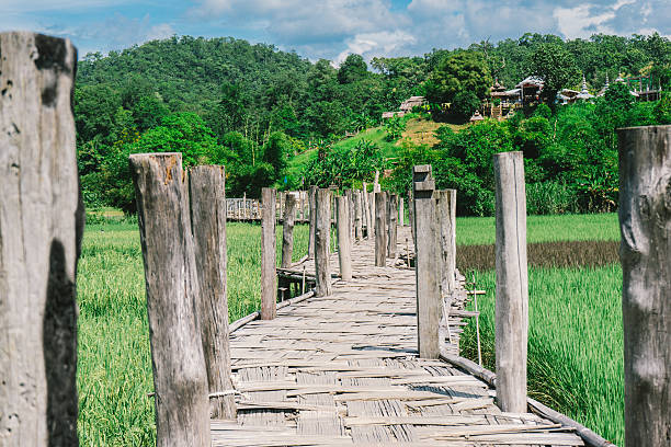 istock Bamboo bridge in rice field unseen thailand at Chiang mai 618360404