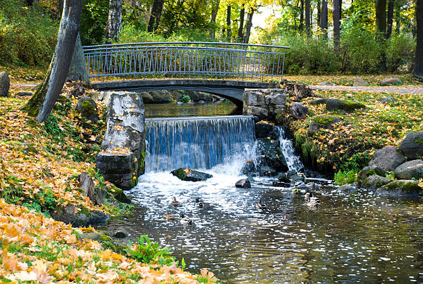 istock Falls in park in the autumn 618419578