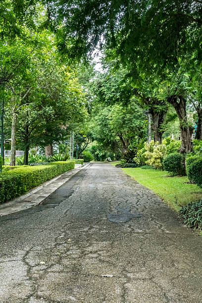 istock Asphalt country road 618421316