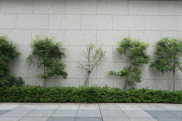 istock Large blank billboard on a street wall 618422512