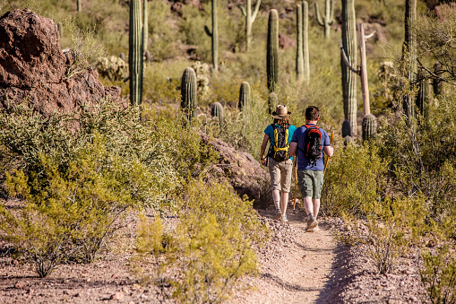 Two desert hikers in the American Southwest