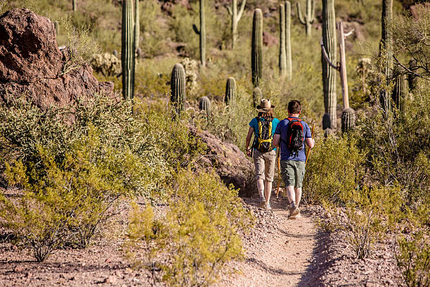 Two Hikers on Rugged Trail Two desert hikers in the American Southwest sonoran desert photos stock pictures, royalty-free photos & images