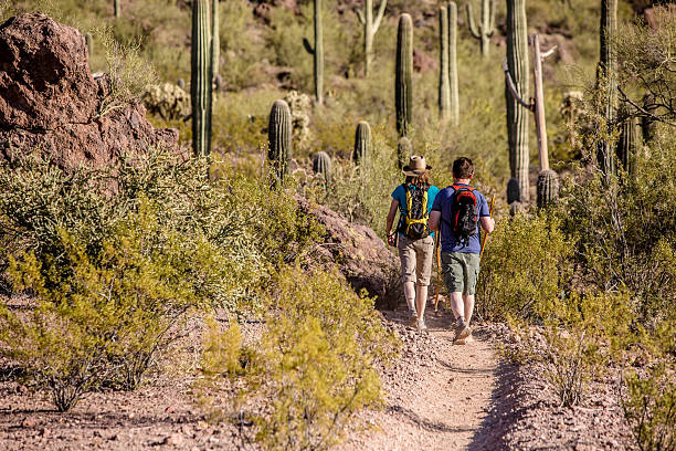 Two Hikers on Rugged Trail Two desert hikers in the American Southwest sonoran desert stock pictures, royalty-free photos & images