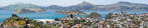 Dunedin Suburb Panorama stock photo