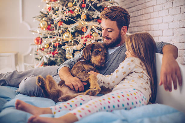 istock Sleep tight little puppy 618424820