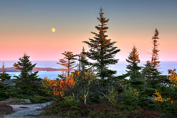 Cadillac Mountain, ME Cadillac Mountain at Acadia National Park in Maine acadia national park maine stock pictures, royalty-free photos & images