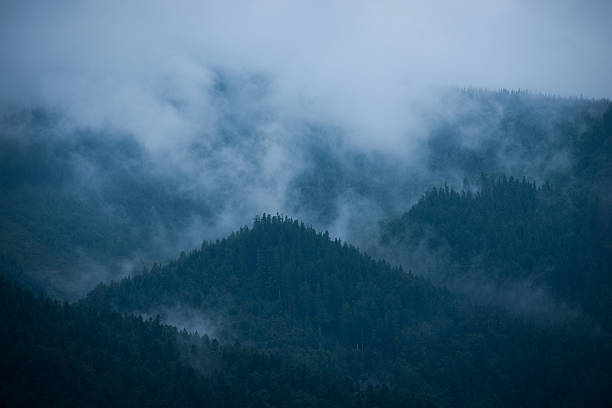 istock Misty mountain hills summer landscape after rain 618426466