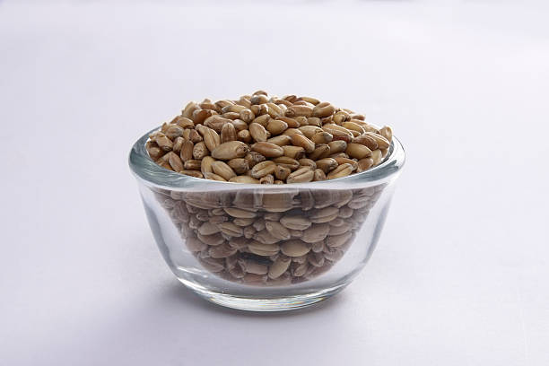 istock Wheat seeds in a glass bowl 618427924