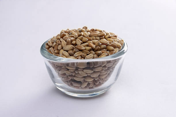 istock Wheat seeds in a glass bowl 618427994