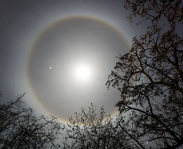 A moon ring or moonbow with trees silhouetted. 