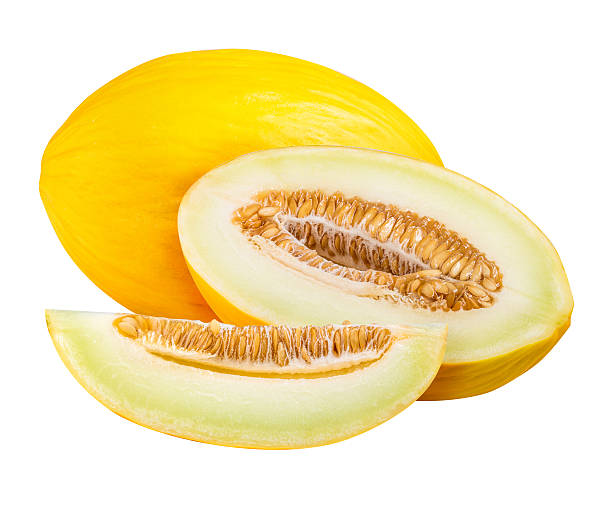 istock Set of yellow melon isolated on white background 618429220