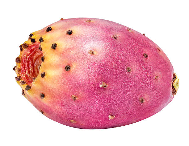 istock Red ripe opuntia isolated on white background 618430138