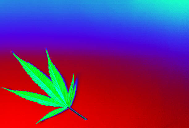 Colorful abstract marijuana blue and red horizontal background