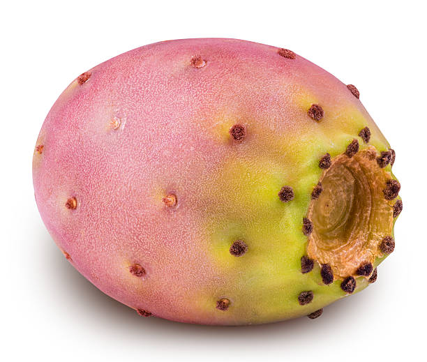 istock Red ripe opuntia isolated on white background 618430342