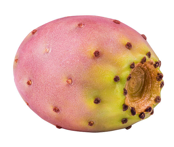 istock Red ripe opuntia isolated on white background 618430386