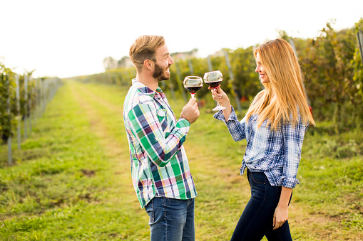 Young happy couple holding glasses of wine in the grape fields