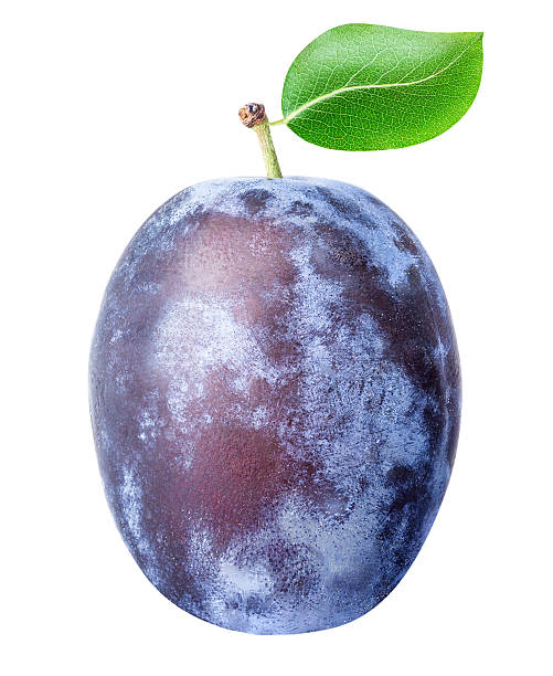 istock Ripe plum with leaf isolated on white background 618432000