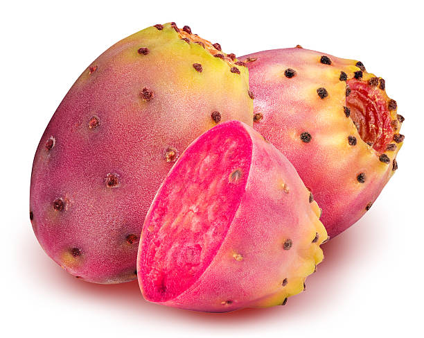 istock group of opuntias isolated on white background 618432748