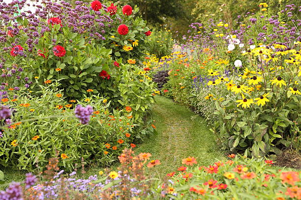 istock Colourful flower garden 618433516
