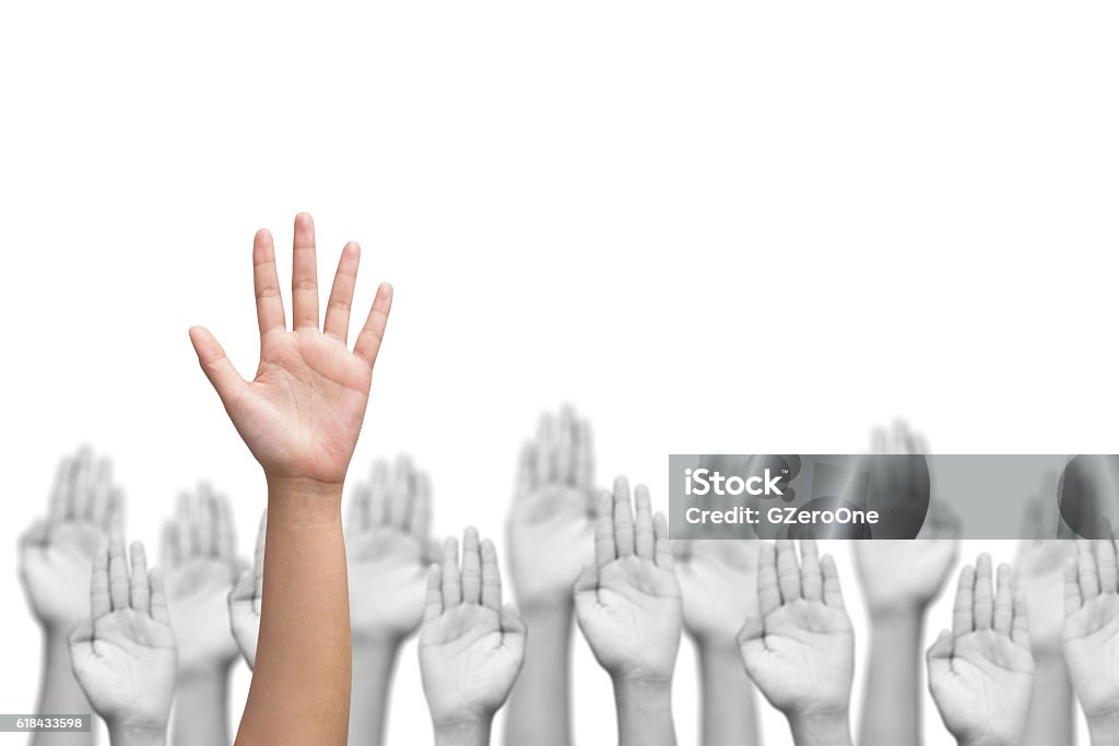 business crowd raising hands, many hands raise high up business crowd raising hands, many hands raise high up on white background Giving Stock Photo
