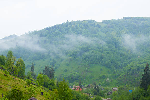 istock Summer nature with hill, trees and mist 618434416