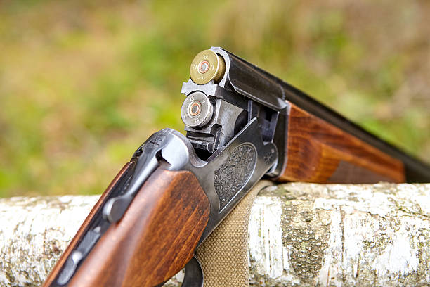 istock Opened wooden double-barreled hunting gun 618435536