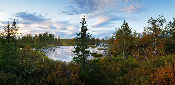 istock landscape on wood lake after sunset, panorama 618436104