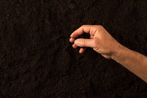 istock Farmer hand checking the soil on dark background 618437402
