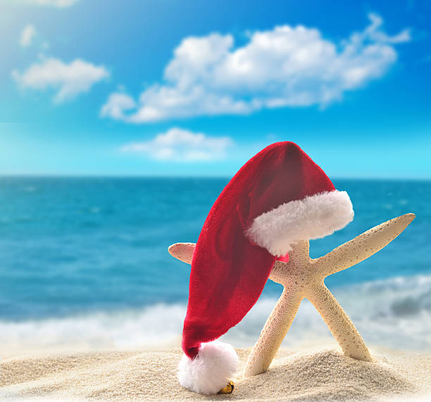 istock starfish in santa hat at the seaside 618439058