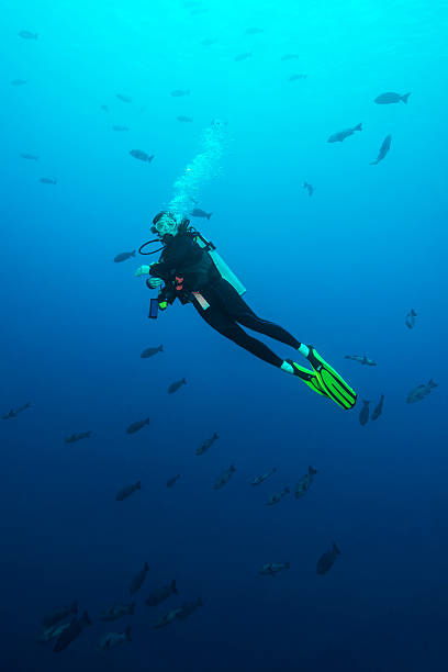 istock Female Diver - Palau, Micronesia 618440828