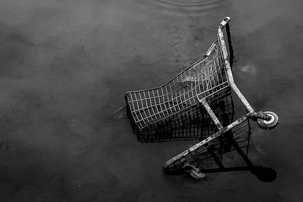 istock Capitalism and dirt, black and white photo 618445168