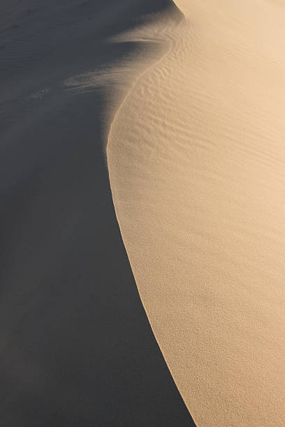 Light, shadow and texture in a sand dune Light, shadow and texture in a sand dune - Joaquina - Florianopolis - Brazil joaquina beach in florianopolis santa catarina brazil stock pictures, royalty-free photos & images