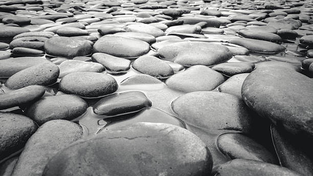 istock Black and white shot of river bed with pebbles 618446908