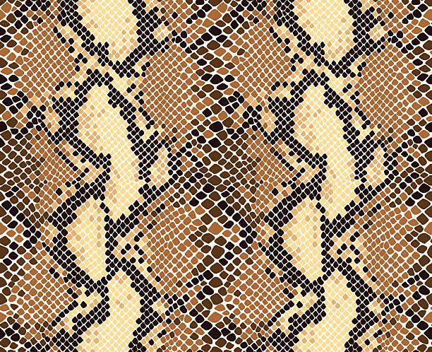 Snakeskin Pattern Snake skin seamless vector pattern. Reptile seamless texture. Animal print. animal markings stock illustrations