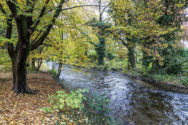 beautiful river Wuerm with green trees in Munich in autumn color