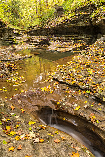 istock Autumn Leaves in Buttermilk Gorge 618448476