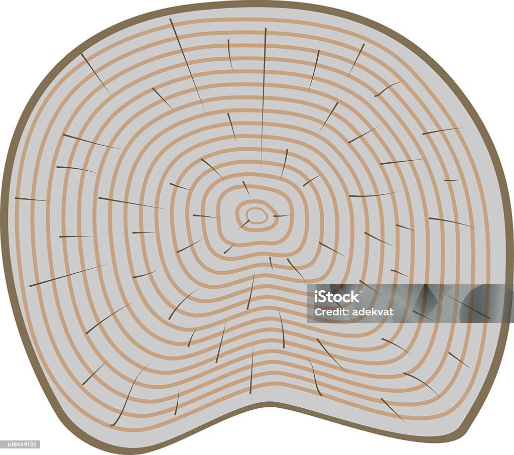 Tree Slicer Example Tree Slices Vector Isolated Stock Illustration - Download Image Now ...