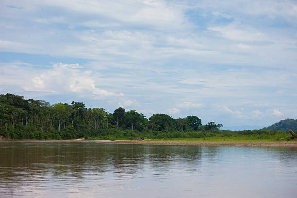 istock Madidi National Park Bolivian Amazon 618451218