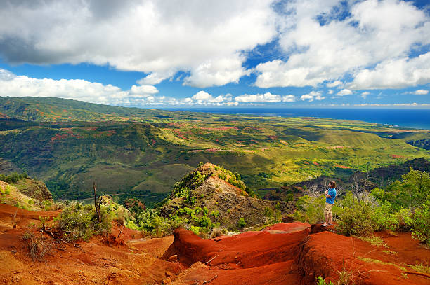 istock Stunning view into Waimea Canyon with a tourist 618451224