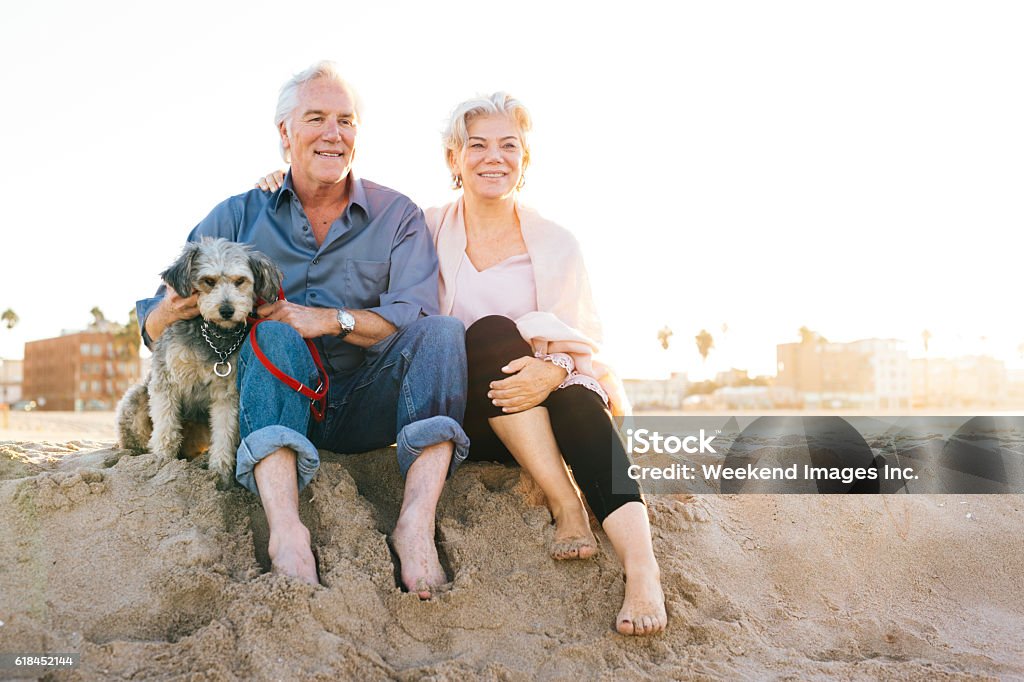 The cost of retirement happiness Senior couple  on the beach Dog Stock Photo