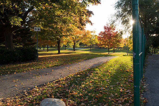 istock Public Park in the Autumn 618454344