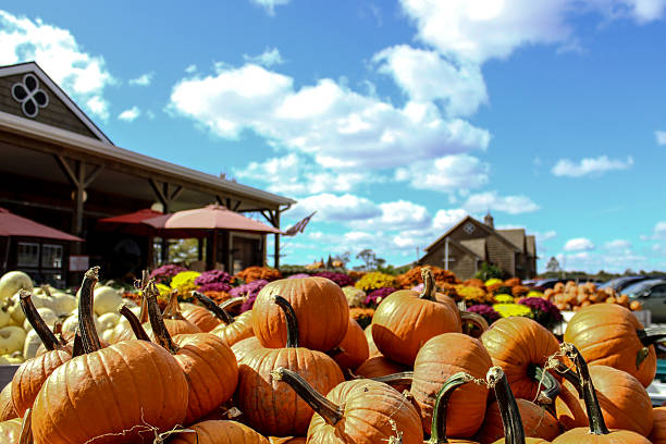 istock Autumn Pumpkin Sale 618455054