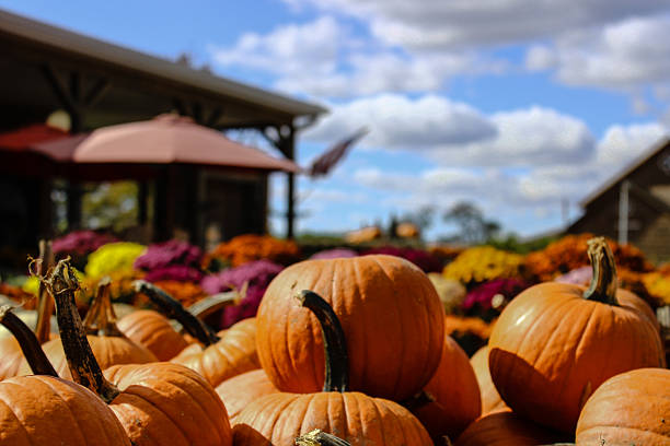 istock Autumn Pumpkin Sale Close Up 618455074