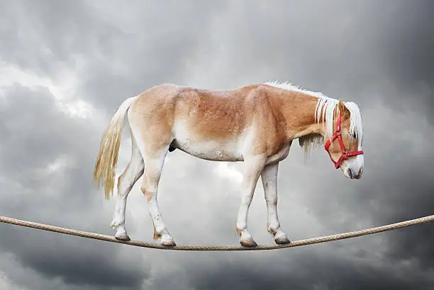 Horse balancing on a tightrope with clouds.