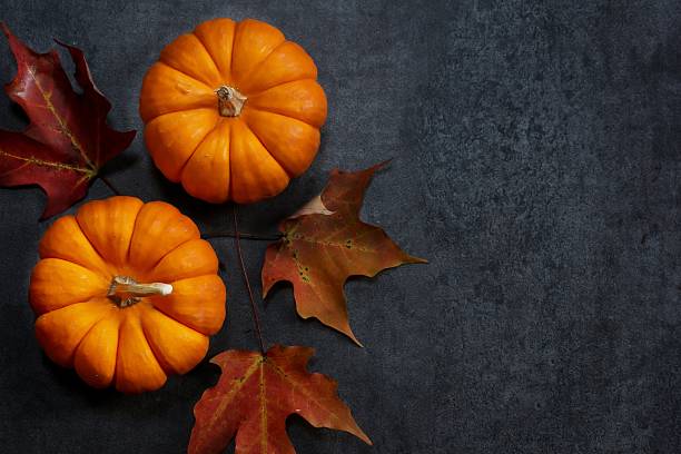 herbsthintergrund mit kürbissen von oben nach unten - miniature pumpkin stock-fotos und bilder