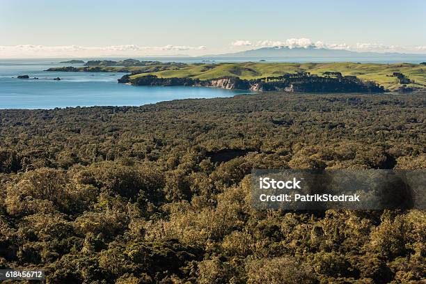 New Zealand Coastline With Tropical Rainforest Stock Photo - Download Image Now - Bay of Water, Bush, Cliff